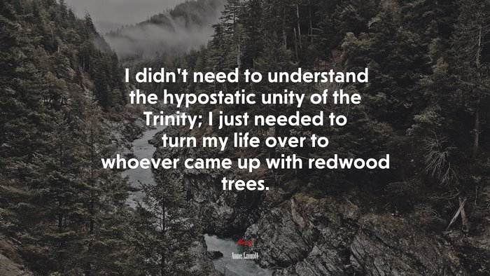 I didn’t need to understand the hypostatic unity of the Trinity; I just needed to turn my life over to whoever came up with redwood trees. | Anne Lamott quote