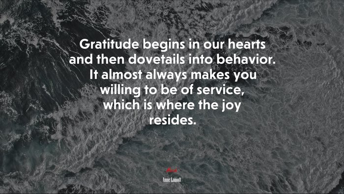 Gratitude begins in our hearts and then dovetails into behavior. It almost always makes you willing to be of service, which is where the joy resides. | Anne Lamott quote