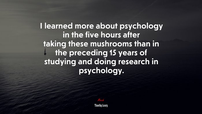 I learned more about psychology in the five hours after taking these mushrooms than in the preceding 15 years of studying and doing research in psychology. | Timothy Leary quote