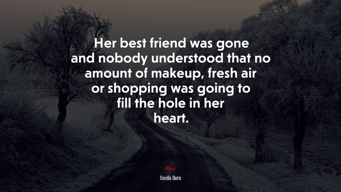 Her best friend was gone and nobody understood that no amount of makeup, fresh air or shopping was going to fill the hole in her heart. | Cecelia Ahern quote