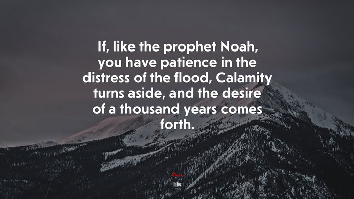 If, like the prophet Noah, you have patience in the distress of the flood, Calamity turns aside, and the desire of a thousand years comes forth. | Hafez quote