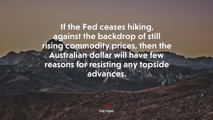 If the Fed ceases hiking, against the backdrop of still rising commodity prices, then the Australian dollar will have few reasons for resisting any topside advances. | Craig Ferguson quote
