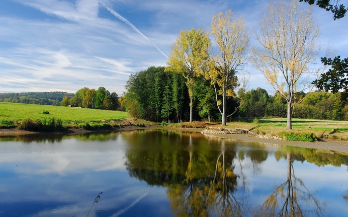 Autumn trees reflected in a calm pond