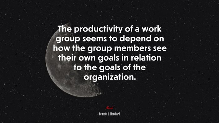 The productivity of a work group seems to depend on how the group members see their own goals in relation to the goals of the organization. | Kenneth H. Blanchard quote