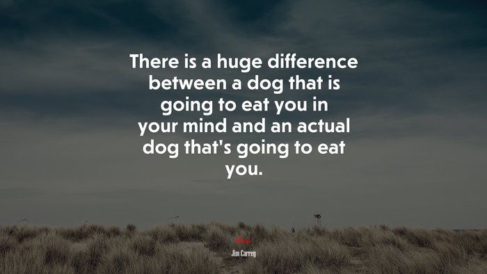 There is a huge difference between a dog that is going to eat you in your mind and an actual dog that’s going to eat you. | Jim Carrey quote