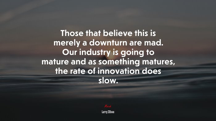 Those that believe this is merely a downturn are mad. Our industry is going to mature and as something matures, the rate of innovation does slow. | Larry Ellison quote