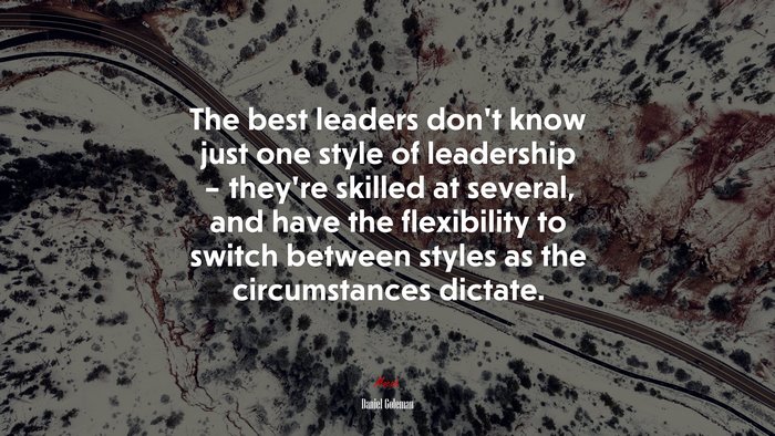 The best leaders don’t know just one style of leadership – they’re skilled at several, and have the flexibility to switch between styles as the circumstances dictate. | Daniel Goleman quote