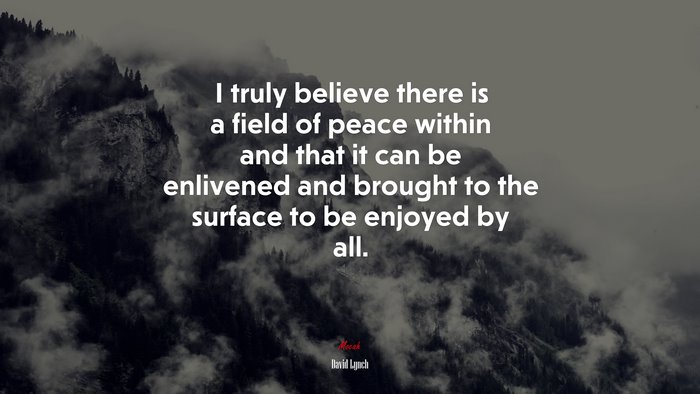 I truly believe there is a field of peace within and that it can be enlivened and brought to the surface to be enjoyed by all. | David Lynch quote