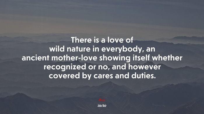 There is a love of wild nature in everybody, an ancient mother-love showing itself whether recognized or no, and however covered by cares and duties. | John Muir quote