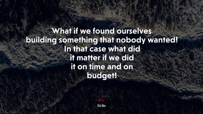 What if we found ourselves building something that nobody wanted? In that case what did it matter if we did it on time and on budget? | Eric Ries quote