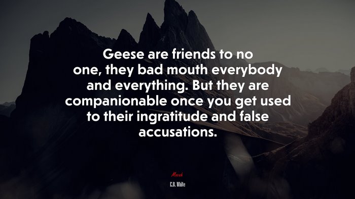 Geese are friends to no one, they bad mouth everybody and everything. But they are companionable once you get used to their ingratitude and false accusations. | E.B. White quote