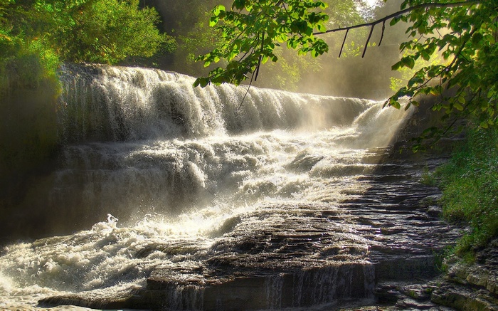 Waterfall cascading over layered rocks in a forest