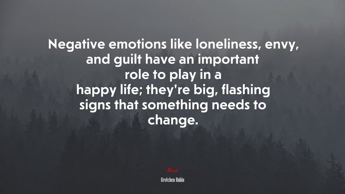 Negative emotions like loneliness, envy, and guilt have an important role to play in a happy life; they’re big, flashing signs that something needs to change. | Gretchen Rubin quote