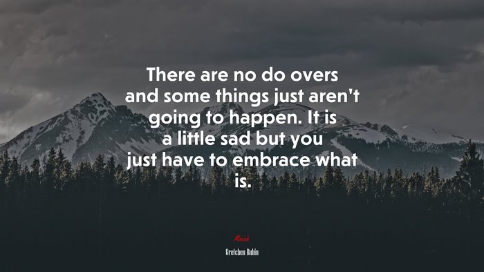 There are no do overs and some things just aren’t going to happen. It is a little sad but you just have to embrace what is. | Gretchen Rubin quote