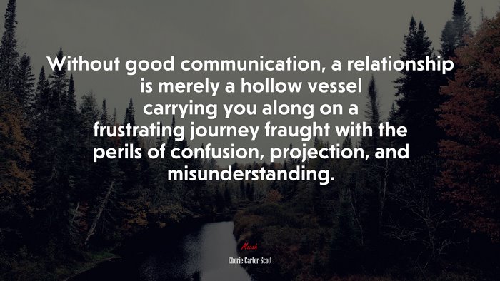 Without good communication, a relationship is merely a hollow vessel carrying you along on a frustrating journey fraught with the perils of confusion, projection, and misunderstanding. | Cherie Carter-Scott quote