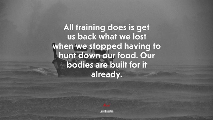 All training does is get us back what we lost when we stopped having to hunt down our food. Our bodies are built for it already. | Laird Hamilton quote