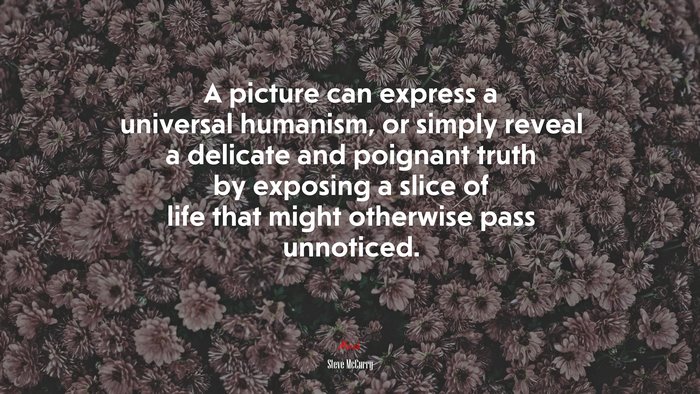 A picture can express a universal humanism, or simply reveal a delicate and poignant truth by exposing a slice of life that might otherwise pass unnoticed. | Steve McCurry quote