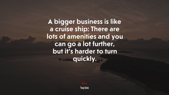 A bigger business is like a cruise ship: There are lots of amenities and you can go a lot further, but it’s harder to turn quickly. | Tony Hsieh quote