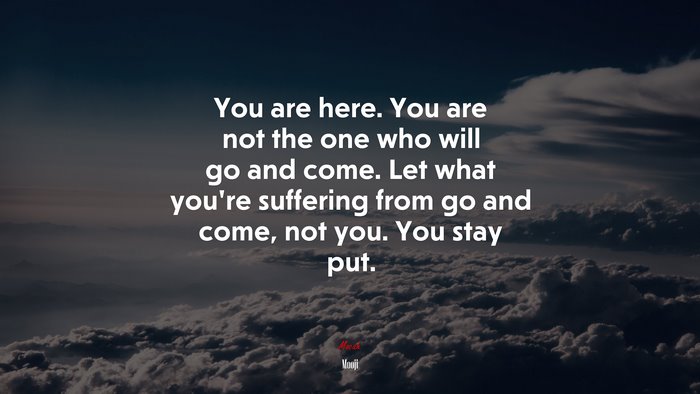 You are here. You are not the one who will go and come. Let what you’re suffering from go and come, not you. You stay put. | Mooji quote