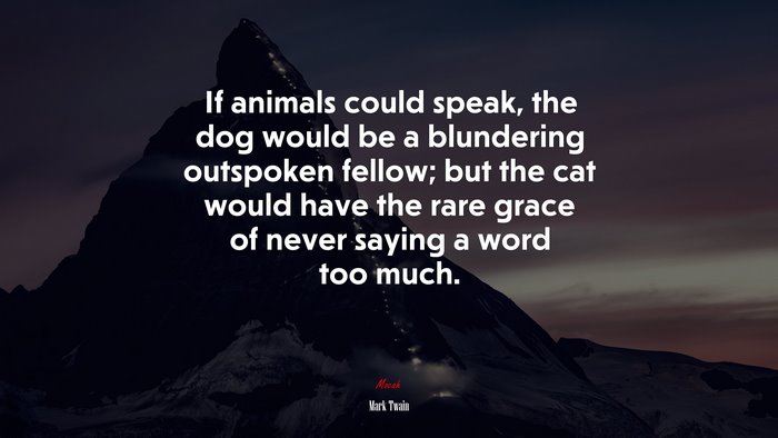 If animals could speak, the dog would be a blundering outspoken fellow; but the cat would have the rare grace of never saying a word too much. | Mark Twain quote
