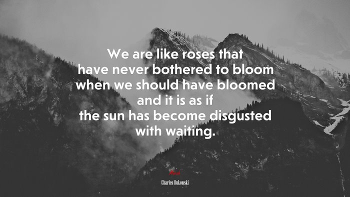 We are like roses that have never bothered to bloom when we should have bloomed and it is as if the sun has become disgusted with waiting. | Charles Bukowski quote