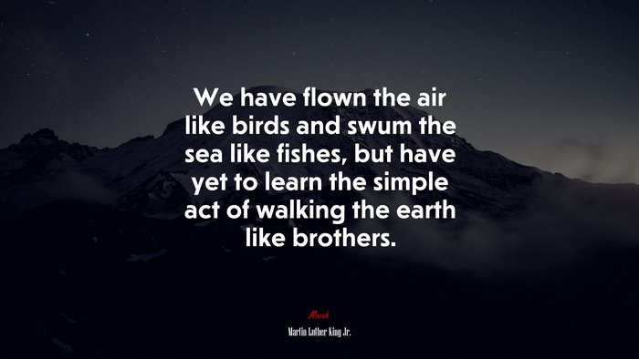 We have flown the air like birds and swum the sea like fishes, but have yet to learn the simple act of walking the earth like brothers. | Martin Luther King Jr. quote