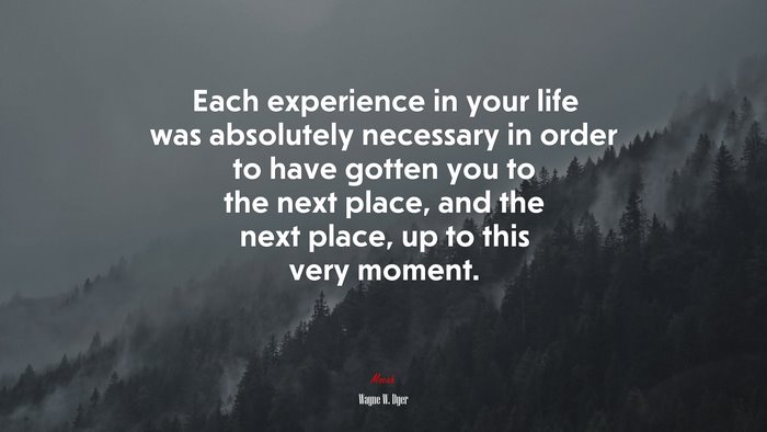 Each experience in your life was absolutely necessary in order to have gotten you to the next place, and the next place, up to this very moment. | Wayne W. Dyer quote