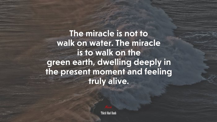 The miracle is not to walk on water. The miracle is to walk on the green earth, dwelling deeply in the present moment and feeling truly alive. | Thich Nhat Hanh quote