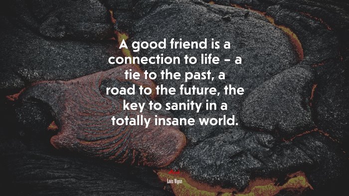 A good friend is a connection to life – a tie to the past, a road to the future, the key to sanity in a totally insane world. | Lois Wyse quote