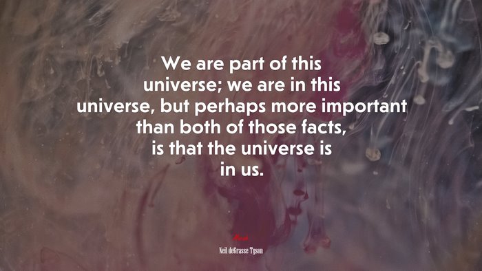 We are part of this universe; we are in this universe, but perhaps more important than both of those facts, is that the universe is in us. | Neil deGrasse Tyson quote