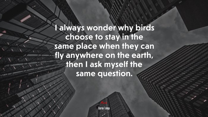 I always wonder why birds choose to stay in the same place when they can fly anywhere on the earth, then I ask myself the same question. | Harun Yahya quote