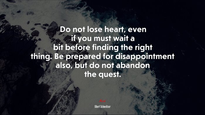 Do not lose heart, even if you must wait a bit before finding the right thing. Be prepared for disappointment also, but do not abandon the quest. | Albert Schweitzer quote
