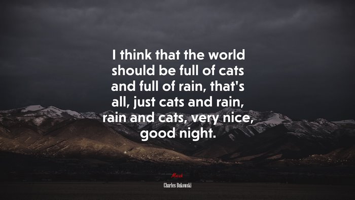 I think that the world should be full of cats and full of rain, that’s all, just cats and rain, rain and cats, very nice, good night. | Charles Bukowski quote