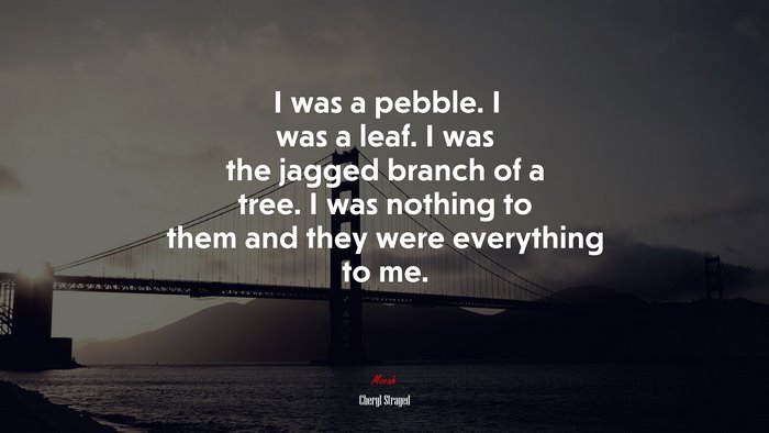 I was a pebble. I was a leaf. I was the jagged branch of a tree. I was nothing to them and they were everything to me. | Cheryl Strayed quote