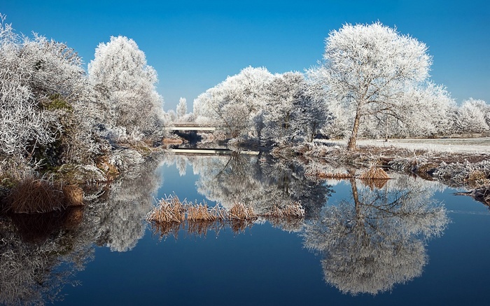 Frosted trees reflected in a calm river under a blue sky