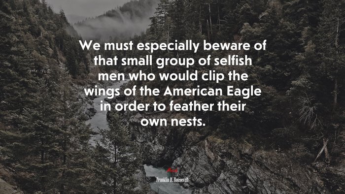 We must especially beware of that small group of selfish men who would clip the wings of the American Eagle in order to feather their own nests. | Franklin D. Roosevelt quote
