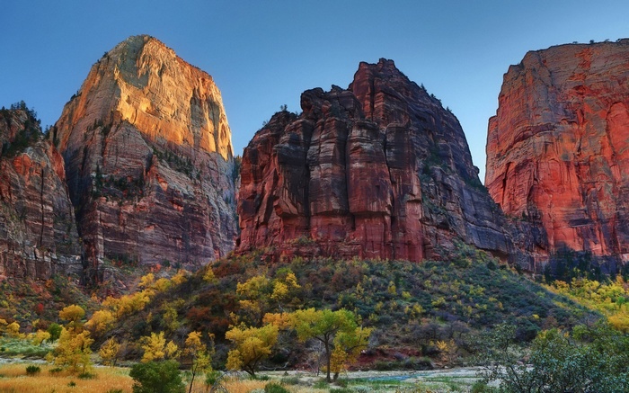 Zion National Park cliffs and autumn trees