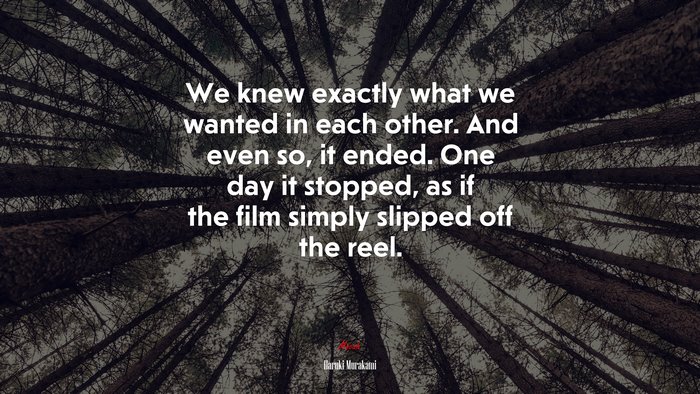 We knew exactly what we wanted in each other. And even so, it ended. One day it stopped, as if the film simply slipped off the reel. | Haruki Murakami quote