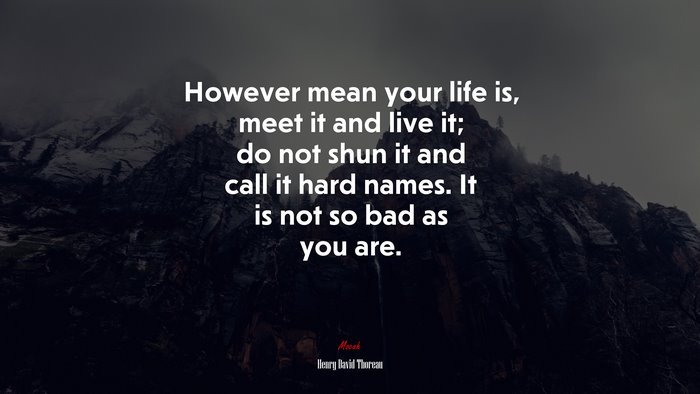However mean your life is, meet it and live it; do not shun it and call it hard names. It is not so bad as you are. | Henry David Thoreau quote
