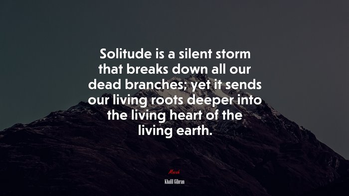 Solitude is a silent storm that breaks down all our dead branches; yet it sends our living roots deeper into the living heart of the living earth. | Khalil Gibran quote