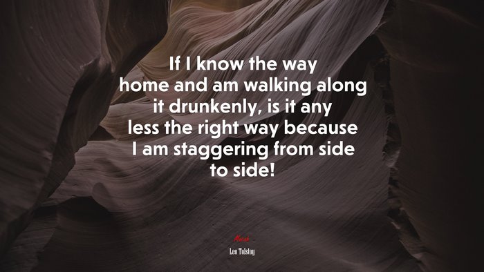 If I know the way home and am walking along it drunkenly, is it any less the right way because I am staggering from side to side! | Leo Tolstoy quote