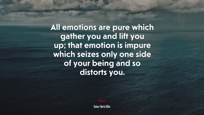All emotions are pure which gather you and lift you up; that emotion is impure which seizes only one side of your being and so distorts you. | Rainer Maria Rilke quote
