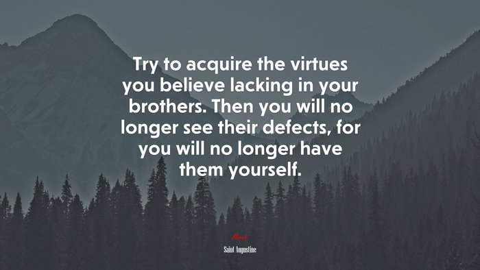 Try to acquire the virtues you believe lacking in your brothers. Then you will no longer see their defects, for you will no longer have them yourself. | Saint Augustine quote
