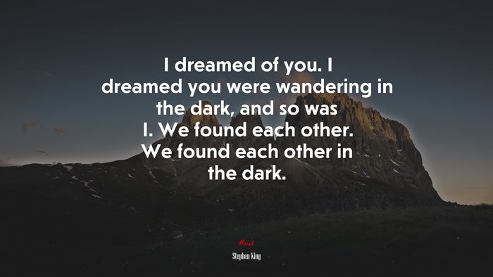 I dreamed of you. I dreamed you were wandering in the dark, and so was I. We found each other. We found each other in the dark. | Stephen King quote