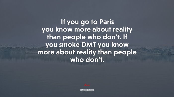 If you go to Paris you know more about reality than people who don’t. If you smoke DMT you know more about reality than people who don’t. | Terence McKenna quote