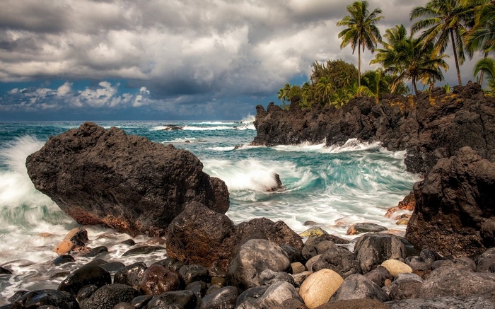 Waves crashing on rocky Hawaiian coast with palm trees