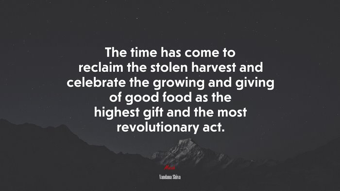 The time has come to reclaim the stolen harvest and celebrate the growing and giving of good food as the highest gift and the most revolutionary act. | Vandana Shiva quote