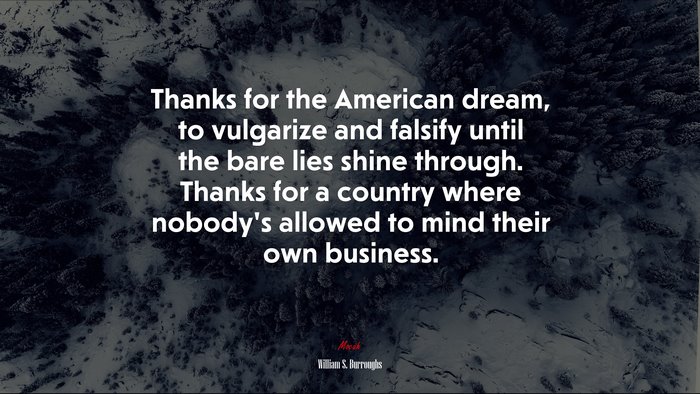 Thanks for the American dream, to vulgarize and falsify until the bare lies shine through. Thanks for a country where nobody’s allowed to mind their own business. | William S. Burroughs quote
