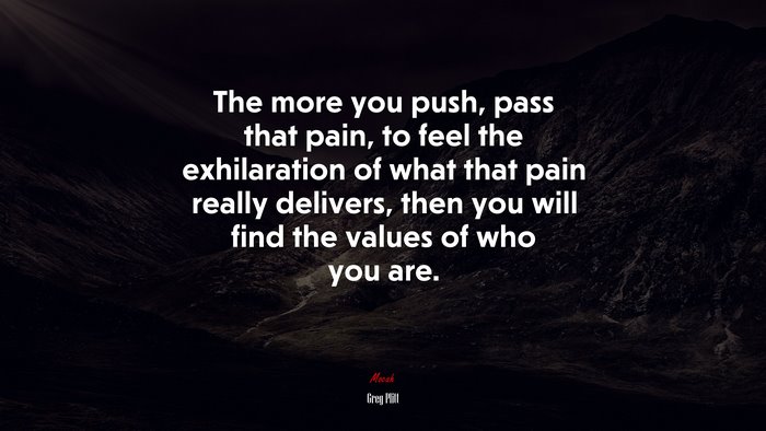 The more you push, pass that pain, to feel the exhilaration of what that pain really delivers, then you will find the values of who you are. | Greg Plitt quote
