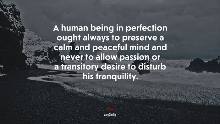 A human being in perfection ought always to preserve a calm and peaceful mind and never to allow passion or a transitory desire to disturb his tranquility. | Mary Shelley quote